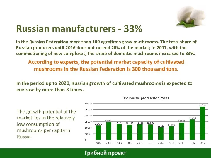 Russian manufacturers - 33% In the Russian Federation more than 100