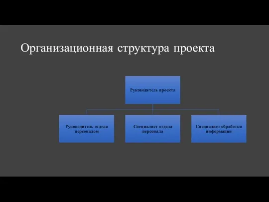 Организационная структура проекта