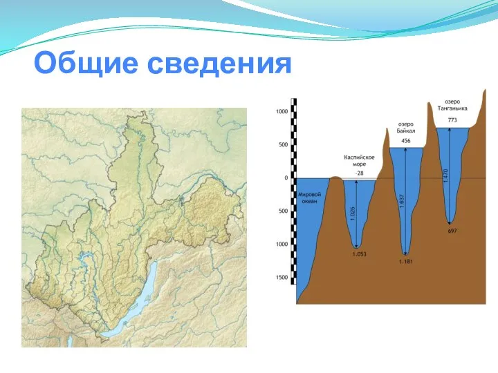 Общие сведения