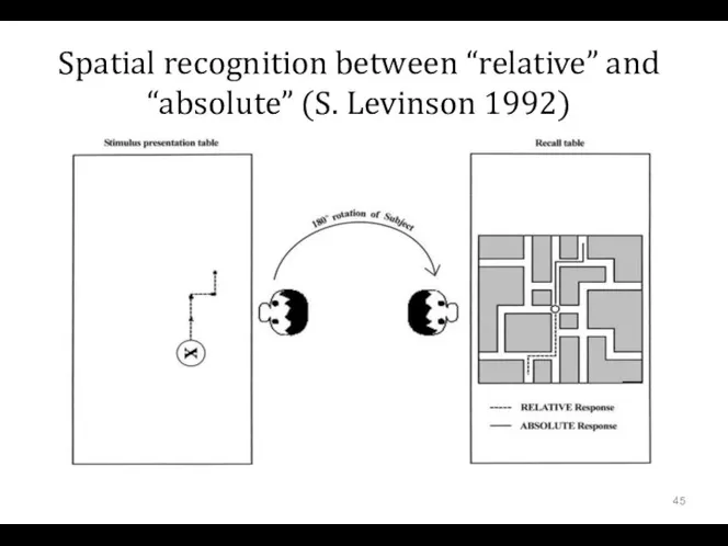Spatial recognition between “relative” and “absolute” (S. Levinson 1992)