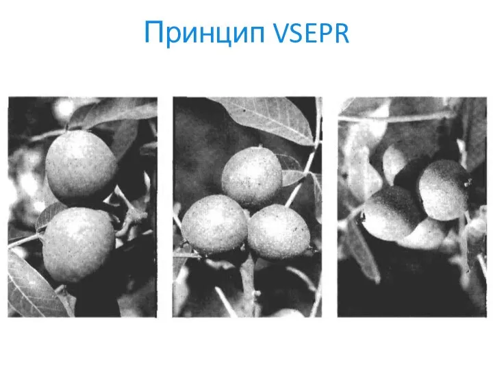 Принцип VSEPR