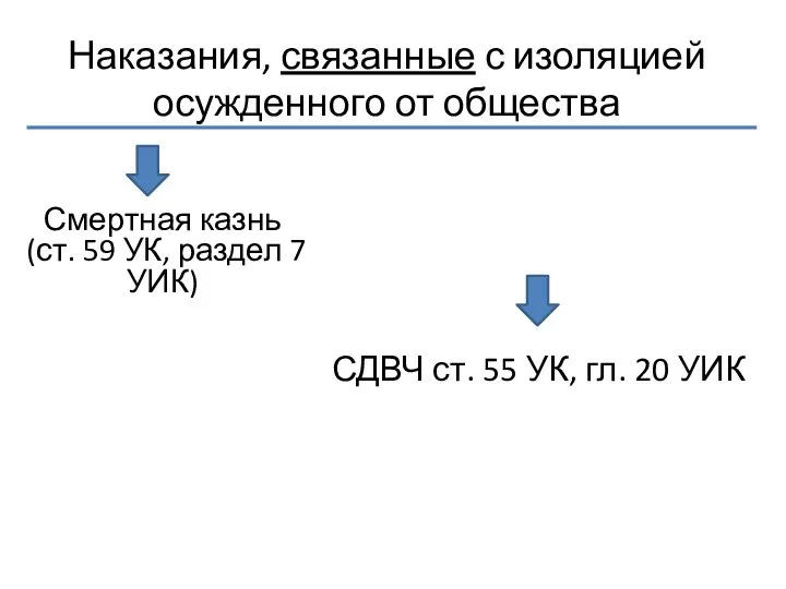 Наказания, связанные с изоляцией осужденного от общества Смертная казнь (ст. 59