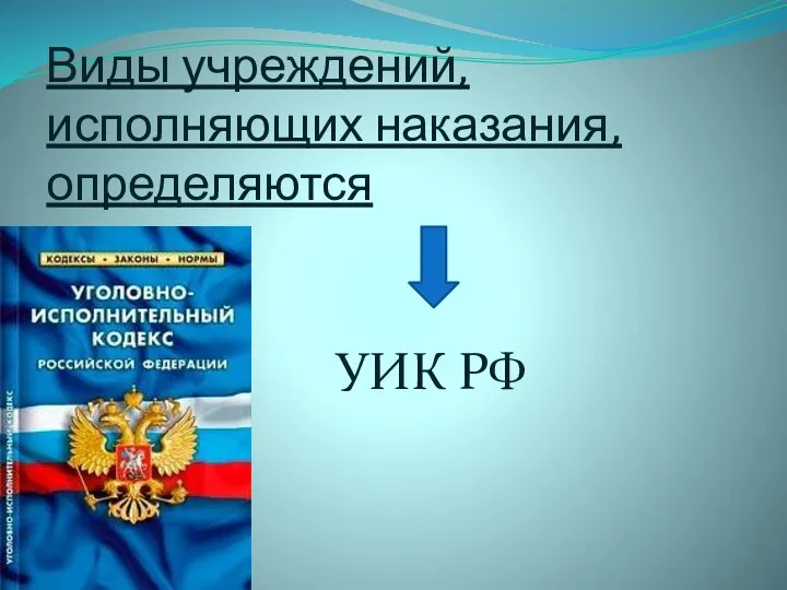 Виды учреждений, исполняющих наказания, определяются УИК РФ