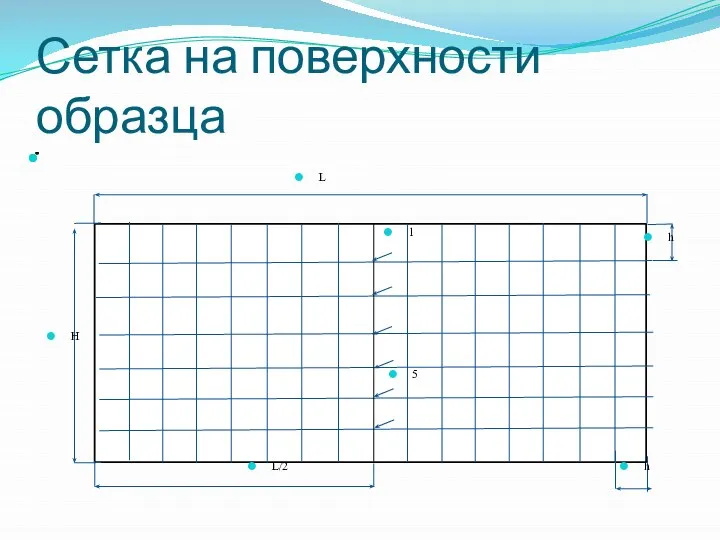 Сетка на поверхности образца