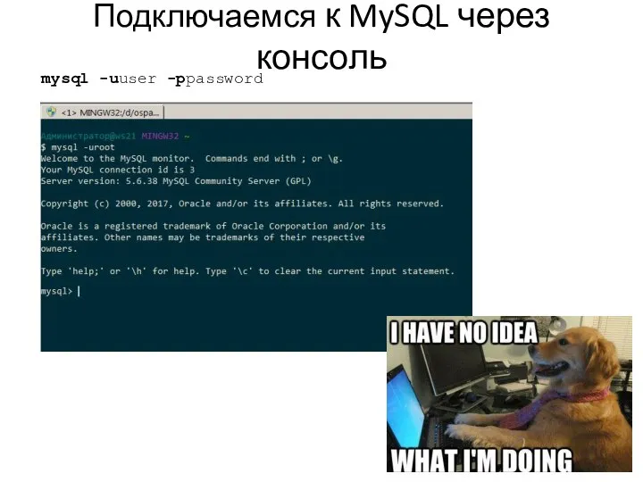 Подключаемся к MySQL через консоль mysql -uuser -ppassword