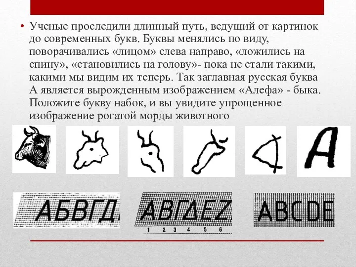 Ученые проследили длинный путь, ведущий от картинок до современных букв. Буквы