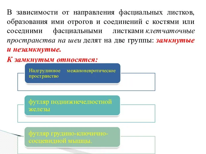 В зависимости от направления фасциальных листков, образования ими отрогов и соединений