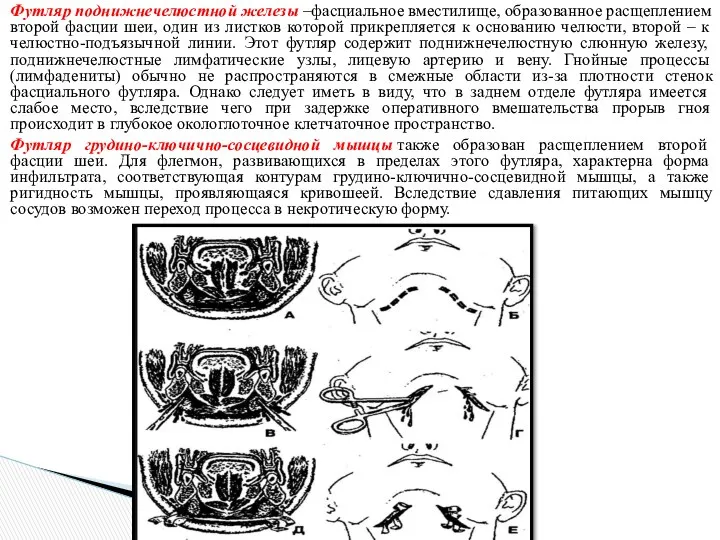 Футляр поднижнечелюстной железы –фасциальное вместилище, образованное расщеплением второй фасции шеи, один