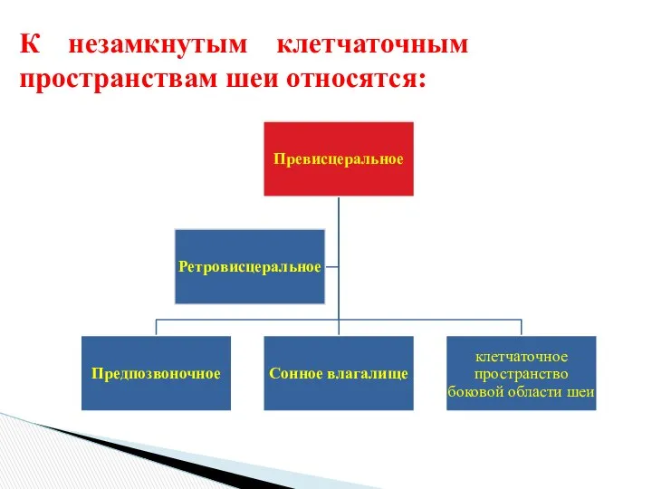 К незамкнутым клетчаточным пространствам шеи относятся: