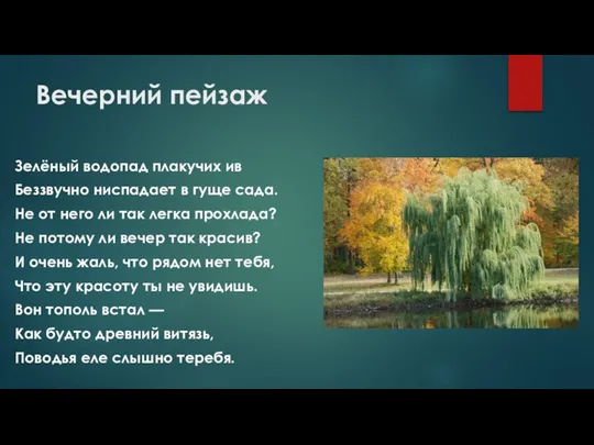 Вечерний пейзаж Зелёный водопад плакучих ив Беззвучно ниспадает в гуще сада.