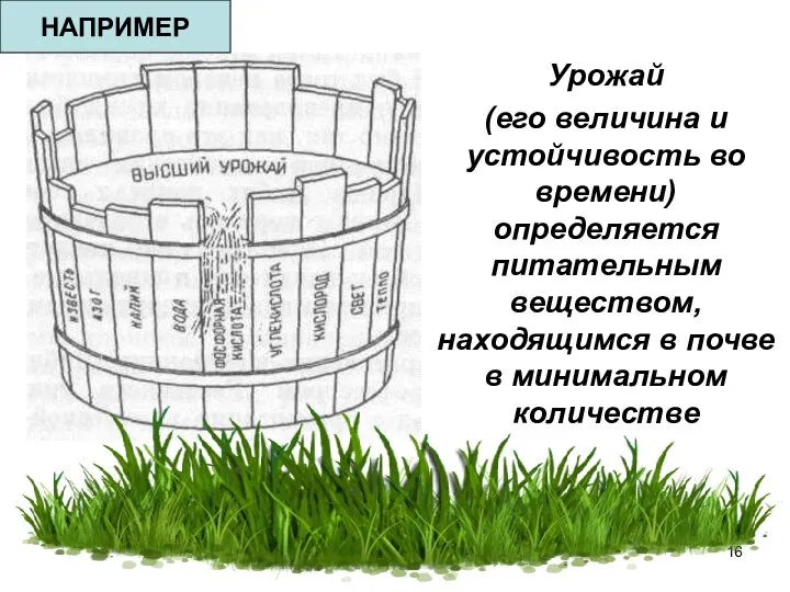 Урожай (его величина и устойчивость во времени) определяется питательным веществом, находящимся