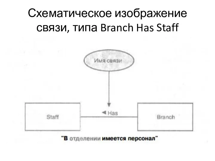 Схематическое изображение связи, типа Branch Has Staff