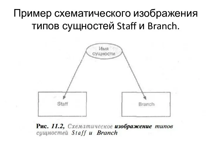 Пример схематического изображения типов сущностей Staff и Branch.