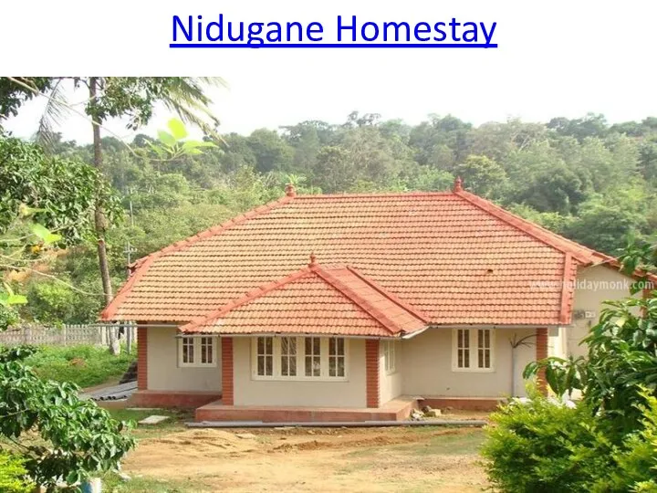 Nidugane Homestay