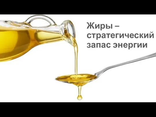 Жиры – стратегический запас энергии