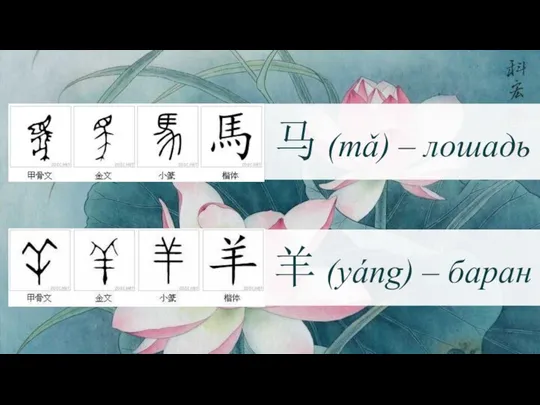 马 (mǎ) – лошадь 羊 (yáng) – баран