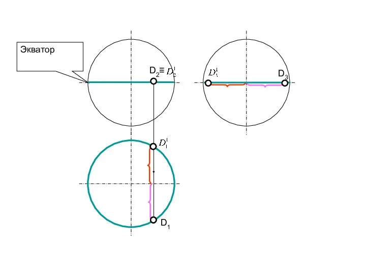 Экватор D1 D3