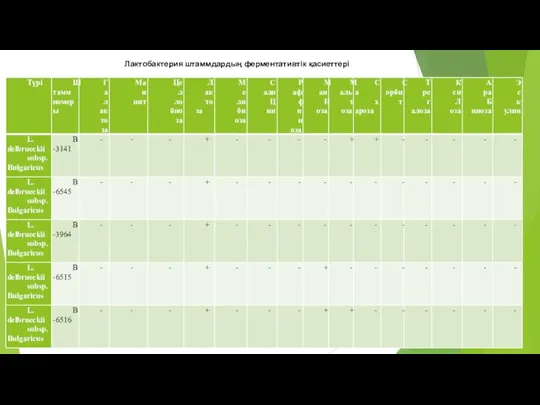 Лактобактерия штаммдардың ферментативтік қасиеттері