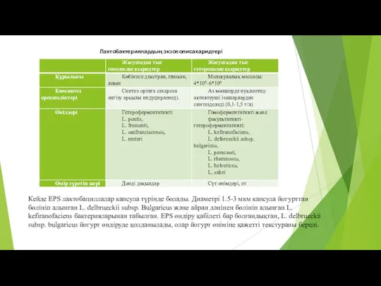 Лактобактериялардың экзополисахаридтері Кейде EPS лактобациллалар капсула түрінде болады. Диаметрі 1.5-3 мкм