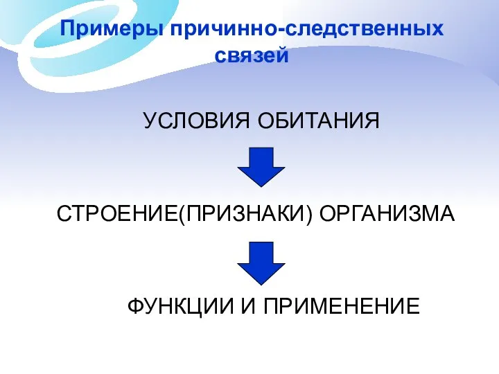 Примеры причинно-следственных связей УСЛОВИЯ ОБИТАНИЯ СТРОЕНИЕ(ПРИЗНАКИ) ОРГАНИЗМА ФУНКЦИИ И ПРИМЕНЕНИЕ