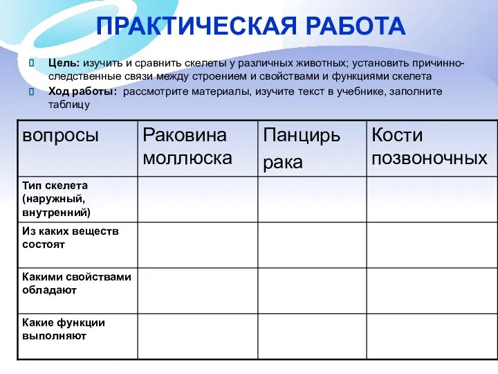 ПРАКТИЧЕСКАЯ РАБОТА Цель: изучить и сравнить скелеты у различных животных; установить