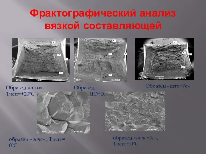 Фрактографический анализ вязкой составляющей Образец «што», Тисп=+20ºС Образец «што+ДО+10с» Образец «што+7с»