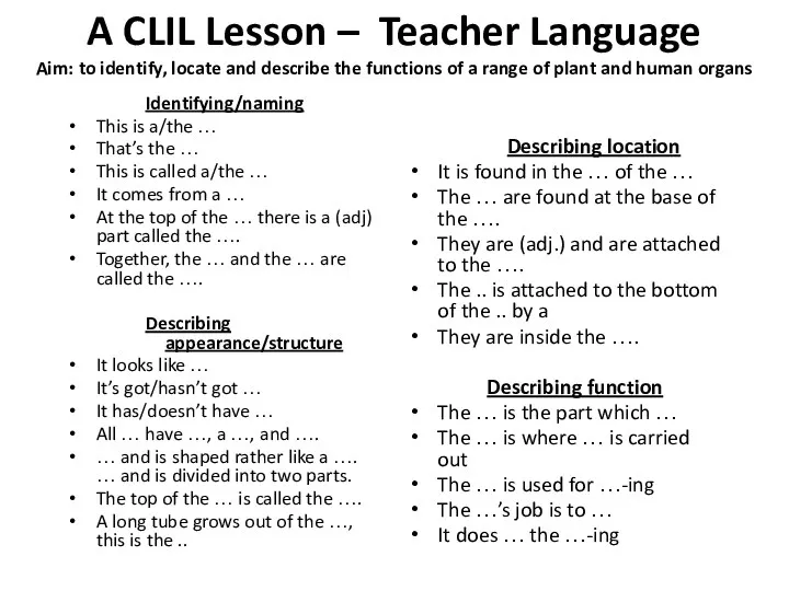 A CLIL Lesson – Teacher Language Aim: to identify, locate and