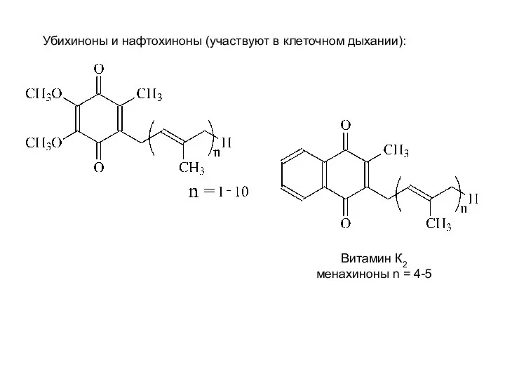 Витамин К2 менахиноны n = 4-5 Убихиноны и нафтохиноны (участвуют в клеточном дыхании):