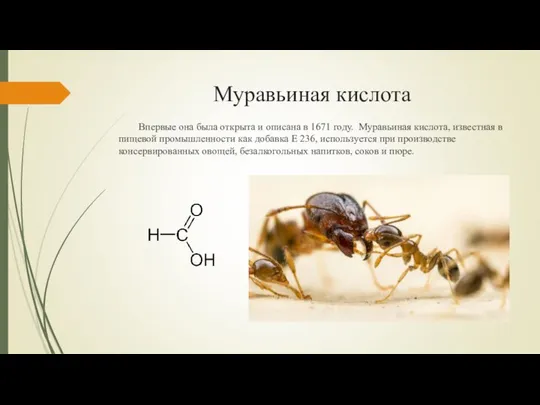 Муравьиная кислота Впервые она была открыта и описана в 1671 году.