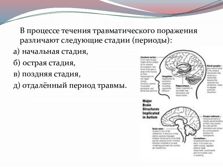 В процессе течения травматического поражения различают следующие стадии (периоды): а) начальная