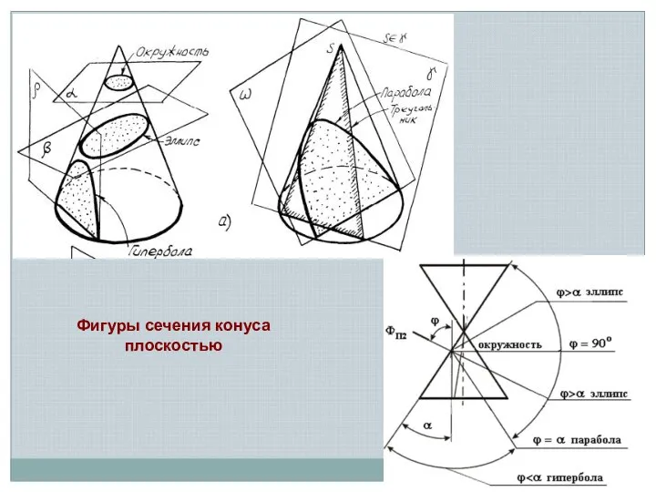 Фигуры сечения конуса плоскостью