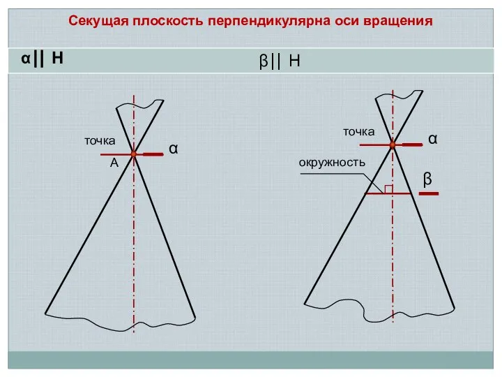 точка α Секущая плоскость перпендикулярна оси вращения А β ⎜⎜ H α ⎜⎜ H β окружность