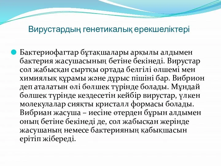 Вирустардың генетикалық ерекшеліктері Бактериофагтар бұтақшалары арқылы алдымен бактерия жасушасының бетіне бекінеді.