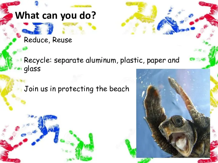 What can you do? Reduce, Reuse Recycle: separate aluminum, plastic, paper