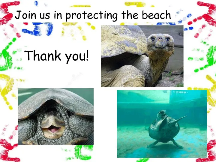 Join us in protecting the beach Thank you!