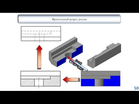 ВИД СПЕРЕДИ Фронтальный разрез детали. 50