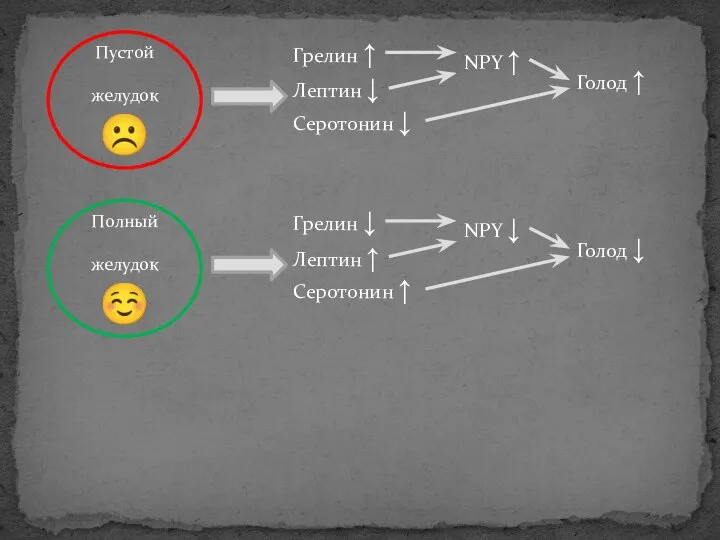 Пустой желудок ☹ Грелин ↑ Лептин ↓ Серотонин ↓ NPY ↑