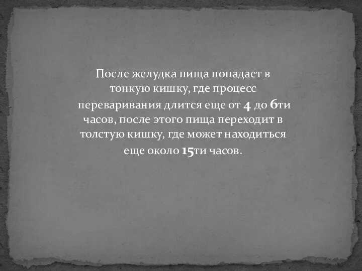 После желудка пища попадает в тонкую кишку, где процесс переваривания длится