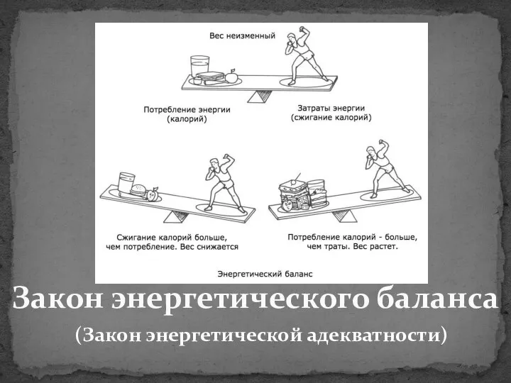 Закон энергетического баланса (Закон энергетической адекватности)