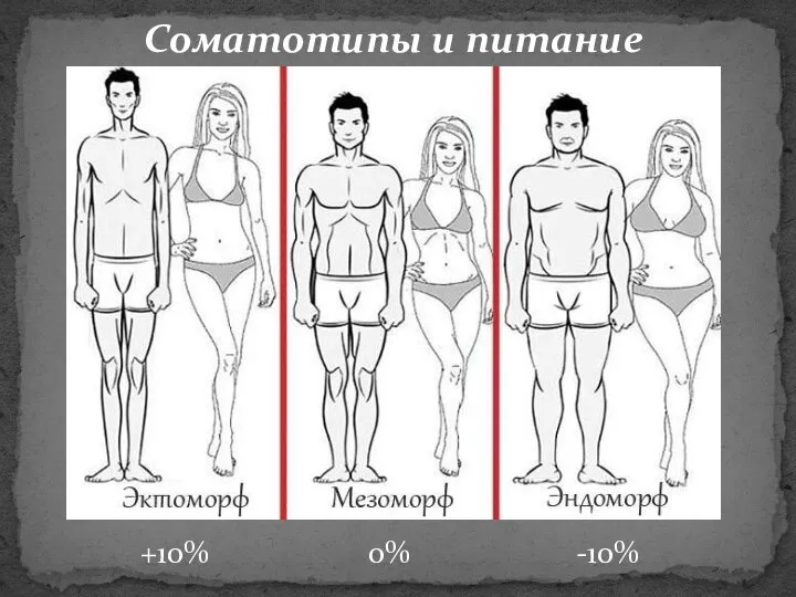 Соматотипы и питание 0% +10% -10% Что длиннее у эндоморфов?