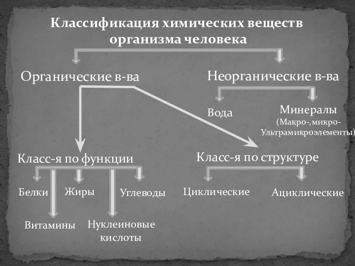 Классификация химических веществ организма человека Органические в-ва Неорганические в-ва Белки Жиры