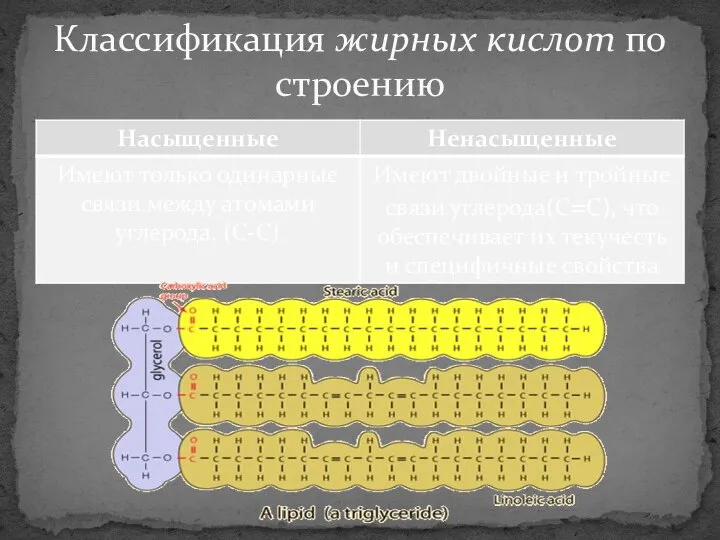 Классификация жирных кислот по строению