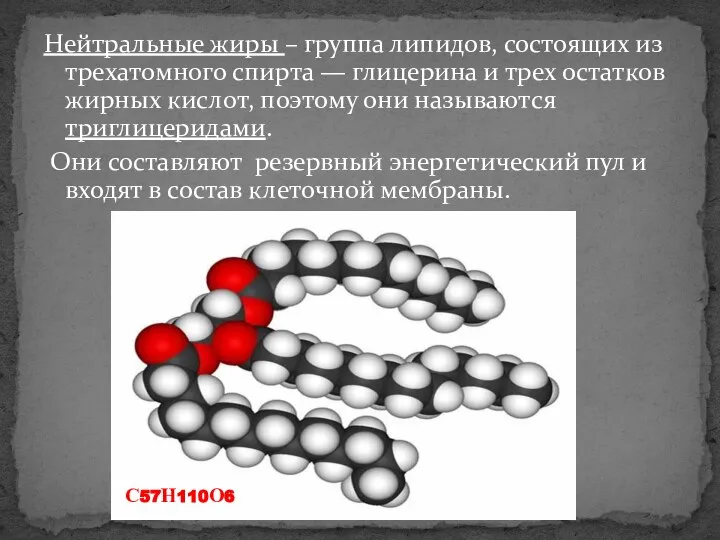 Нейтральные жиры – группа липидов, состоящих из трехатомного спирта — глицерина