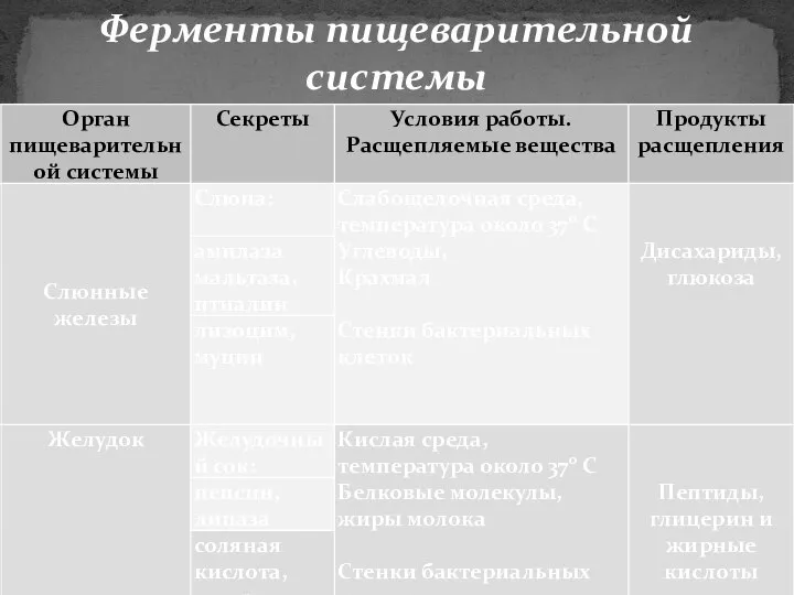 Ферменты пищеварительной системы