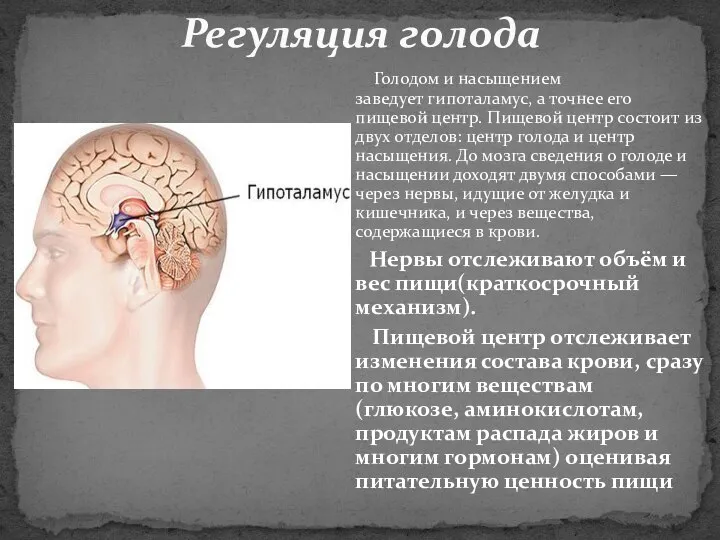 Голодом и насыщением заведует гипоталамус, а точнее его пищевой центр. Пищевой