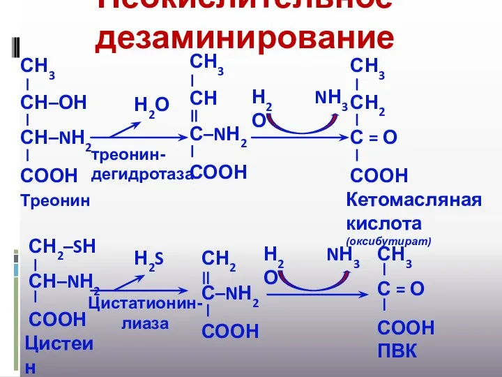 Неокислительное дезаминирование Н2О NН3 Н2О треонин-дегидротаза