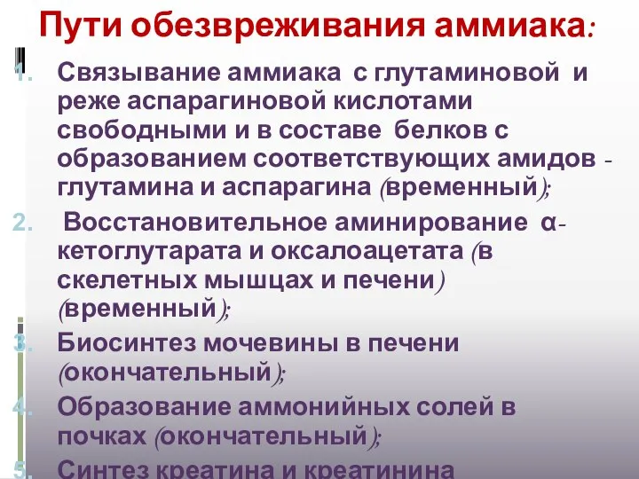 Пути обезвреживания аммиака: Связывание аммиака с глутаминовой и реже аспарагиновой кислотами