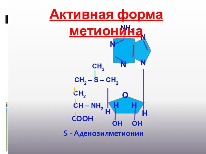 Активная форма метионина