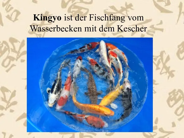 Kingyo ist der Fischfang vom Wasserbecken mit dem Kescher