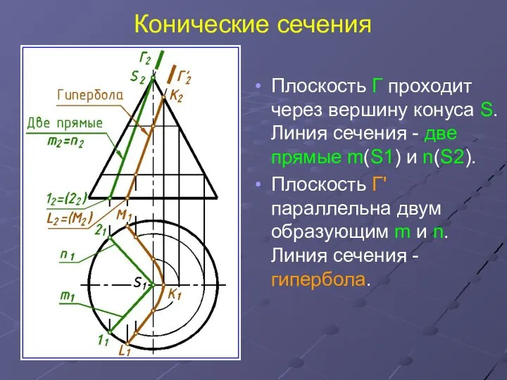 Конические сечения Плоскость Г проходит через вершину конуса S. Линия сечения